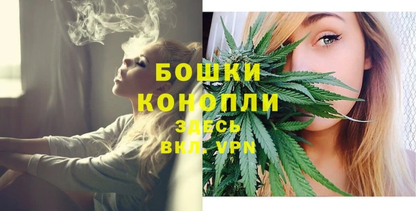 кокс Богородицк