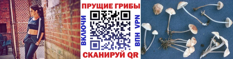 Галлюциногенные грибы Cubensis  Игра 
