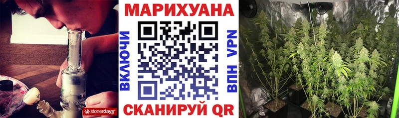 Бошки Шишки THC 21%  Игра 